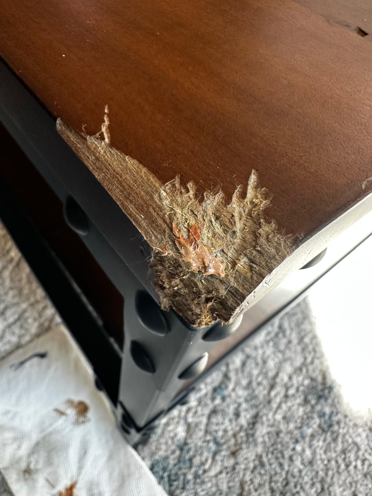 Coffee Table Top Repair — before repair
